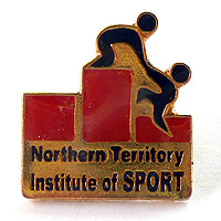 NTIS Pin