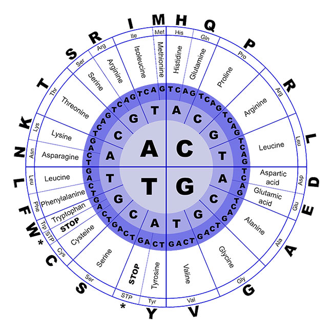 DNA sequences for sport