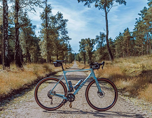blue bike in the bush