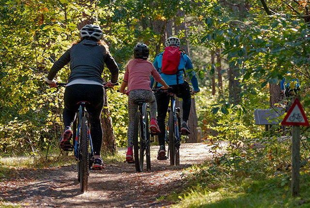 cycling for fitness