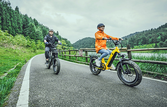 e-bike and a healthy lifestyle